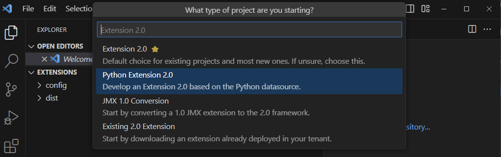 python project type